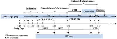 A Phase 1 Study of IRX195183, a RARα-Selective CYP26 Resistant Retinoid, in Patients With Relapsed or Refractory AML